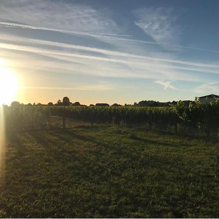 L'Oree Des Vignes Saint-Émilion Esterno foto